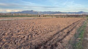 Nuestro terreno agrario